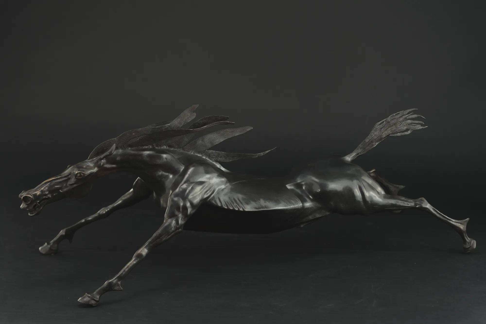 Black Stallion - view 3